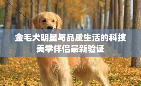 金毛犬明星与品质生活的科技美学伴侣最新验证
