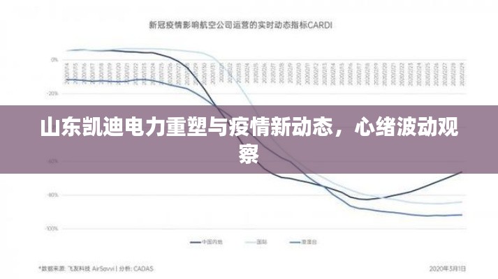 山东凯迪电力重塑与疫情新动态,心绪波动观察