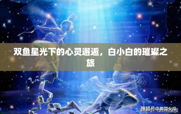 双鱼星光下的心灵邂逅,白小白的璀璨之旅