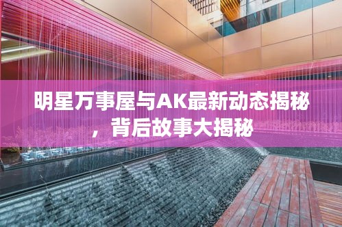 明星万事屋与AK最新动态揭秘，背后故事大揭秘