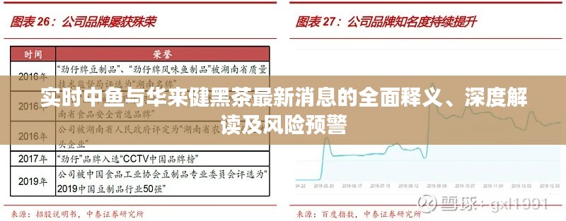 实时中鱼与华来健黑茶最新消息的全面释义、深度解读及风险预警