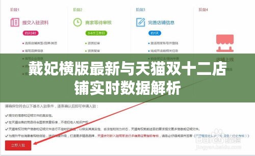 戴妃横版最新与天猫双十二店铺实时数据解析