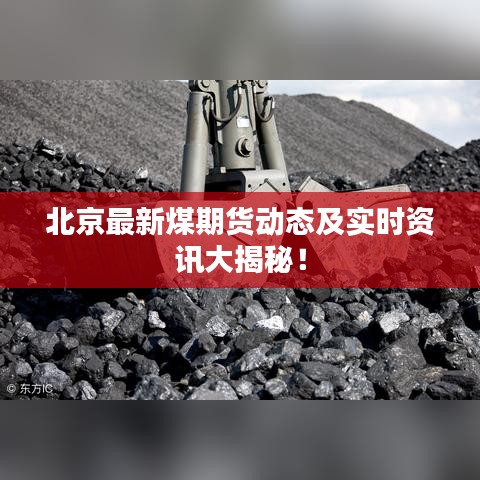 北京最新煤期货动态及实时资讯大揭秘！