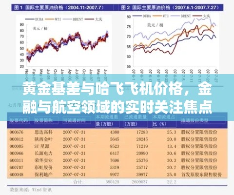 黄金基差与哈飞飞机价格,金融与航空领域的实时关注焦点