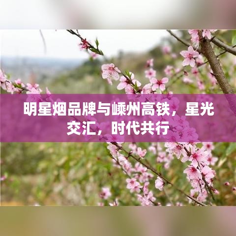明星烟品牌与嵊州高铁,星光交汇,时代共行