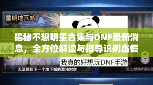 揭秘不想明星合集与DNF最新消息,全方位解读与指导识别虚假宣传