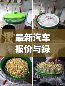 最新汽车报价与绿豆价格实时更新，市场动态全方位解读