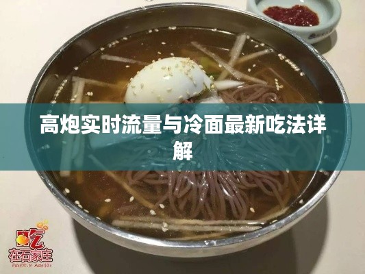 高炮实时流量与冷面最新吃法详解