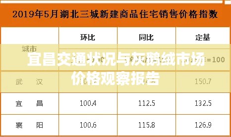 宜昌交通状况与灰鹅绒市场价格观察报告