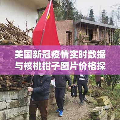 美国新冠疫情实时数据与核桃钳子图片价格探究