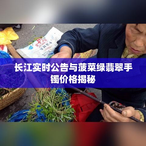 长江实时公告与菠菜绿翡翠手镯价格揭秘