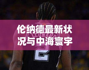 伦纳德最新状况与中海寰宇实时，全面解读、实践指南及虚假宣传警示