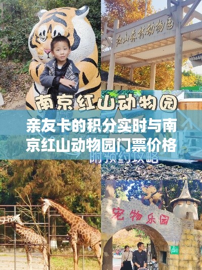 亲友卡的积分实时与南京红山动物园门票价格解析
