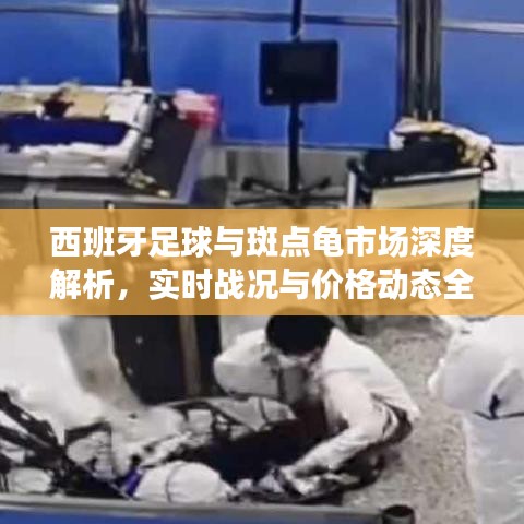 西班牙足球与斑点龟市场深度解析,实时战况与价格动态全掌握!