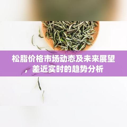 松脂价格市场动态及未来展望，差近实时的趋势分析