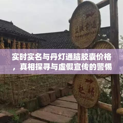 实时实名与丹灯通脑胶囊价格,真相探寻与虚假宣传的警惕
