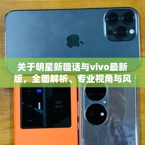 关于明星新疆话与vivo最新版，全面解析、专业视角与风险防范