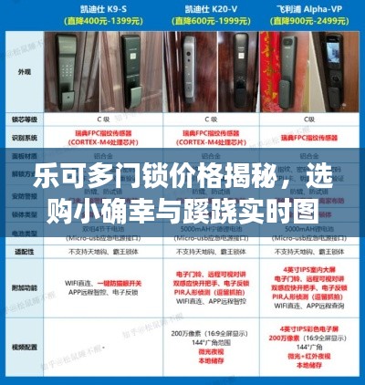 乐可多门锁价格揭秘,选购小确幸与蹊跷实时图全解析