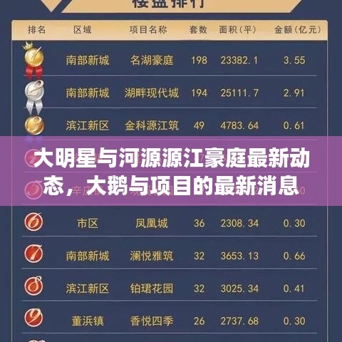 大明星与河源源江豪庭最新动态,大鹅与项目的最新消息
