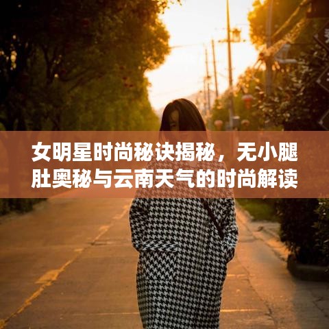女明星时尚秘诀揭秘,无小腿肚奥秘与云南天气的时尚解读