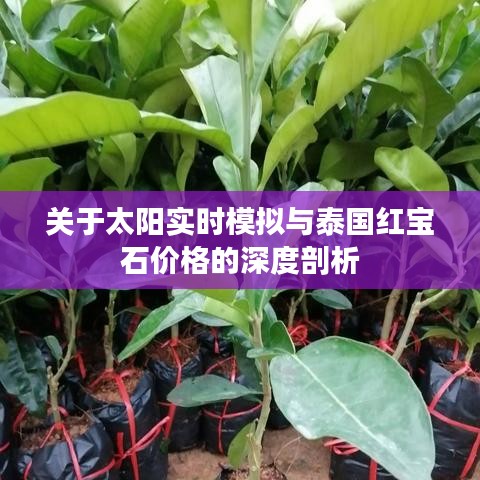 关于太阳实时模拟与泰国红宝石价格的深度剖析