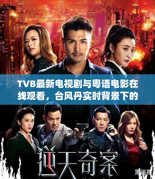 TVB最新电视剧与粤语电影在线观看，台风丹实时背景下的文化娱乐现象解读