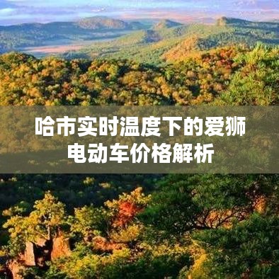 哈市实时温度下的爱狮电动车价格解析
