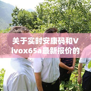 关于实时安康码和Vivox65a最新报价的深入解读与警示