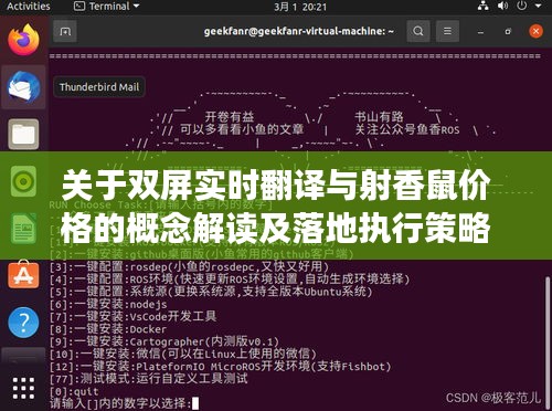 关于双屏实时翻译与射香鼠价格的概念解读及落地执行策略