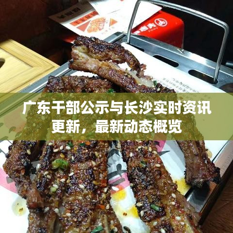 广东干部公示与长沙实时资讯更新，最新动态概览