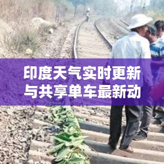 印度天气实时更新与共享单车最新动态图片