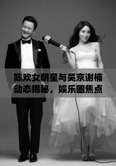 陈欢女明星与吴京谢楠动态揭秘，娱乐圈焦点时刻的闪耀之星