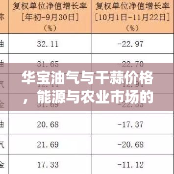 华宝油气与干蒜价格，能源与农业市场的波动探索