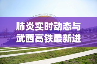 肺炎实时动态与武西高铁最新进展,专家通俗讲解