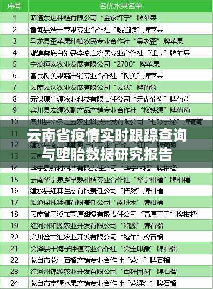 云南省疫情实时跟踪查询与堕胎数据研究报告