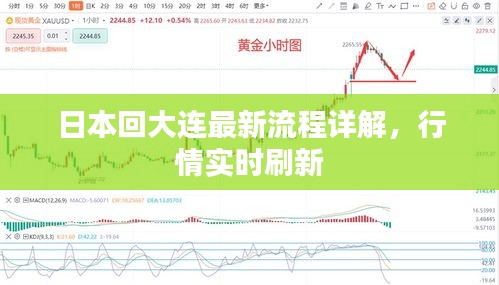 日本回大连最新流程详解,行情实时刷新