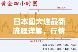 日本回大连最新流程详解，行情实时刷新
