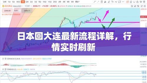 日本回大连最新流程详解,行情实时刷新