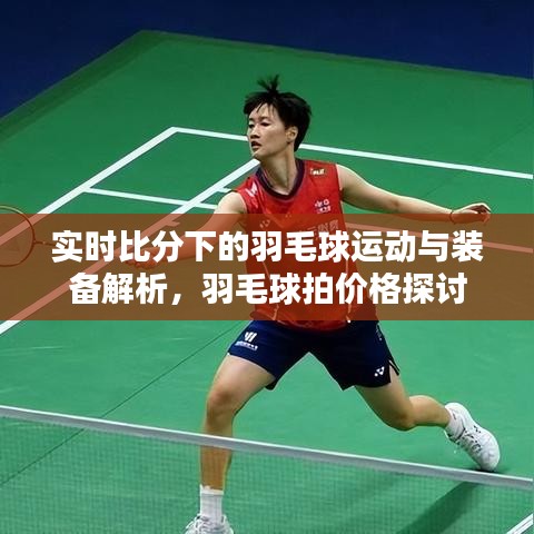 实时比分下的羽毛球运动与装备解析，羽毛球拍价格探讨