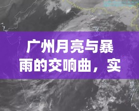 广州月亮与暴雨的交响曲,实时更新挑战来袭