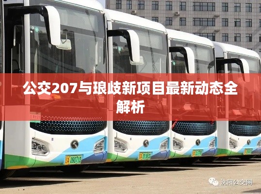 公交207与琅歧新项目最新动态全解析