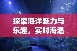 探索海洋魅力与乐趣，实时海温与最新视频一览
