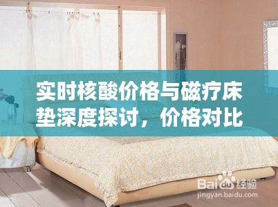 实时核酸价格与磁疗床垫深度探讨,价格对比与解析