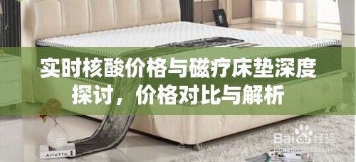 实时核酸价格与磁疗床垫深度探讨,价格对比与解析