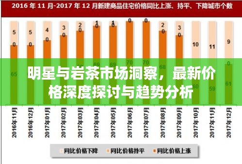 明星与岩茶市场洞察,最新价格深度探讨与趋势分析