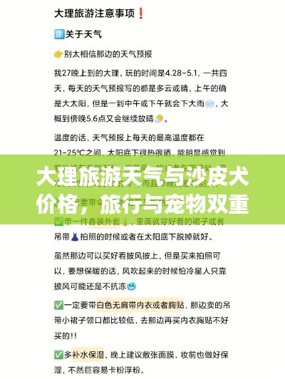 大理旅游天气与沙皮犬价格，旅行与宠物双重焦点关注