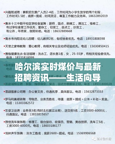 哈尔滨实时煤价与最新招聘资讯——生活向导