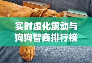 实时虚化震动与狗狗智商排行榜,社会观察视角下的现象解读