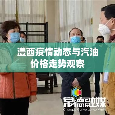 澧西疫情动态与汽油价格走势观察