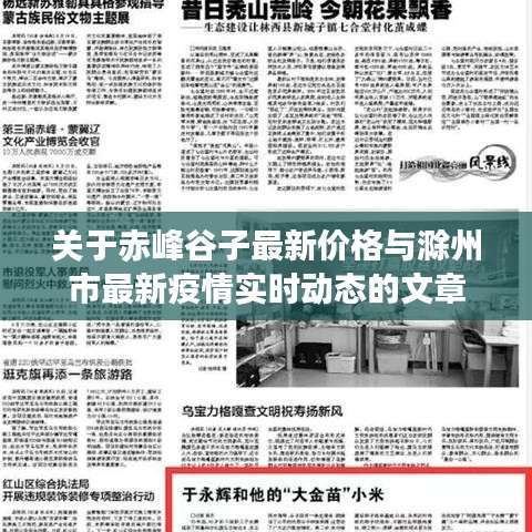 关于赤峰谷子最新价格与滁州市最新疫情实时动态的文章